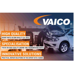  valytuvai <small>Original VAICO Quality</small>