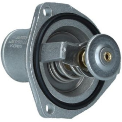  termostatas, aušinimo skystis