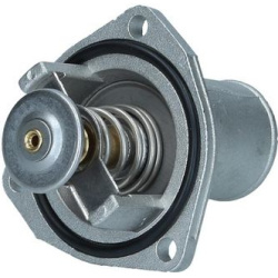  termostatas, aušinimo skystis