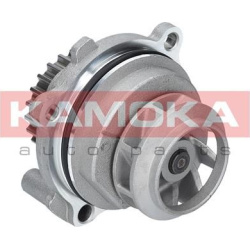  Vandens siurblys, variklio aušinimas