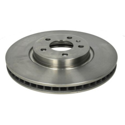  stabdžių diskas (1vnt)