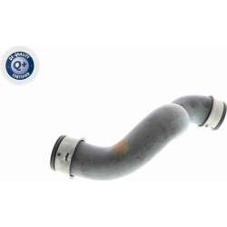  radiatoriaus žarna <small>Q+, original equipment manufacturer quality</small>