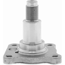  rato stebulė <small>Original VAICO Quality</small>