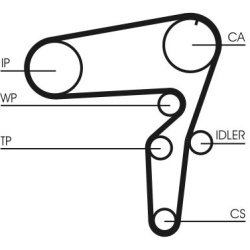  vandens siurblio ir paskirstymo diržo komplektas