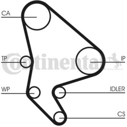  vandens siurblio ir paskirstymo diržo komplektas