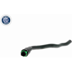  radiatoriaus žarna <small>Q+, original equipment manufacturer quality</small>