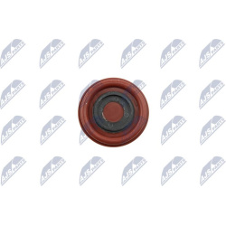  membrana, karterio alsuoklis