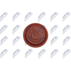  membrana, karterio alsuoklis