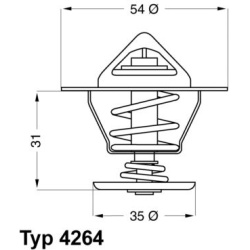 termostatas, aušinimo skystis