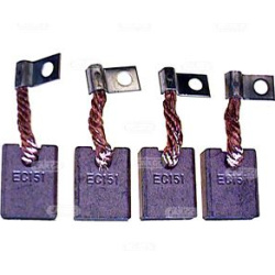  anglies šepetėlis, starteris