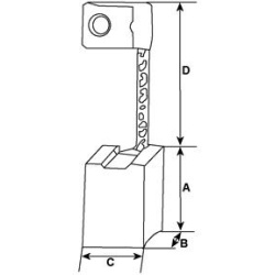  anglies šepetėlis, starteris