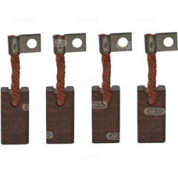  anglies šepetėlis, starteris