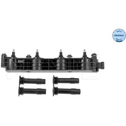  ritė, uždegimas <small>MEYLE-ORIGINAL: True to OE.</small>