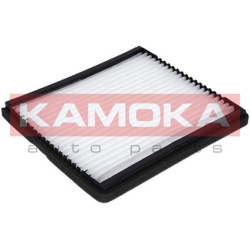  filtras, salono oras