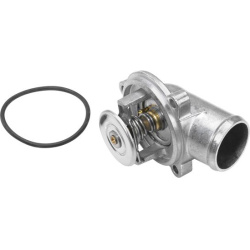  termostatas, aušinimo skystis