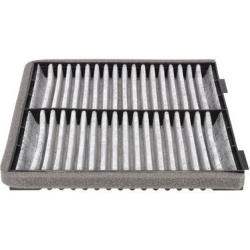  filtras, salono oras