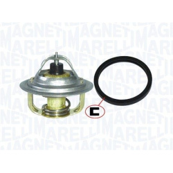  termostatas, aušinimo skystis