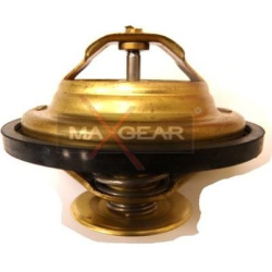  termostatas, aušinimo skystis