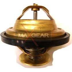  termostatas, aušinimo skystis