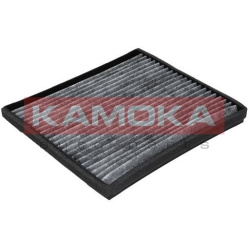  filtras, salono oras