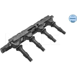  ritė, uždegimas <small>MEYLE-ORIGINAL: True to OE.</small>