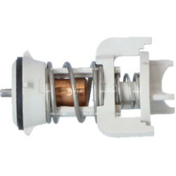  termostatas, aušinimo skystis