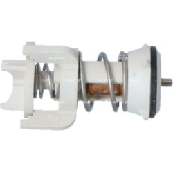  termostatas, aušinimo skystis