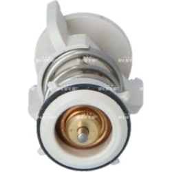  termostatas, aušinimo skystis