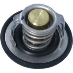  termostatas, aušinimo skystis <small>EASY FIT</small>