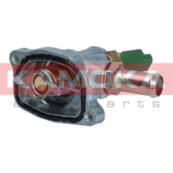  termostatas, aušinimo skystis