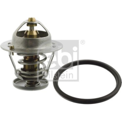  termostatas, aušinimo skystis