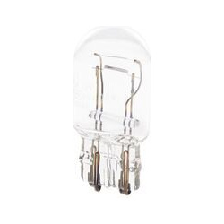 galinio žibinto lemputė <small>