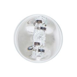 galinio žibinto lemputė <small>