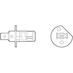  lemputė, posūkio lemputė <small>ESSENTIAL</small>