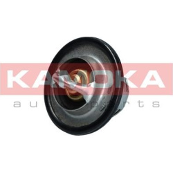  termostatas, aušinimo skystis