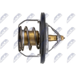  termostatas, aušinimo skystis