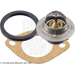  termostatas, aušinimo skystis