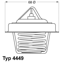  termostatas, aušinimo skystis