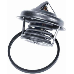  termostatas, aušinimo skystis