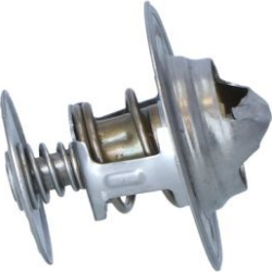  termostatas, aušinimo skystis