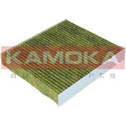  filtras, salono oras