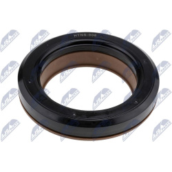  frikcinis guolis, pakabos statramsčio atramos montavimas