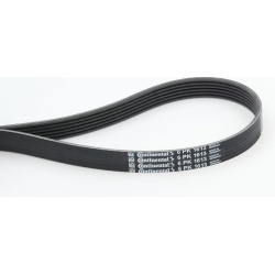  V formos rumbuoti diržai