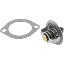  termostatas, aušinimo skystis