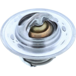  termostatas, aušinimo skystis