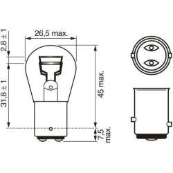  galinio rūko žibinto lemputė