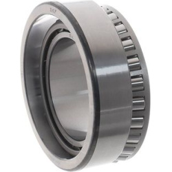 rato guolis  rato guolis