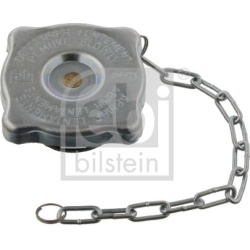  dangtelis, radiatorius