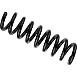  spyruoklė <small>BILSTEIN - B3 OE Replacement</small>