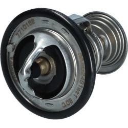  termostatas, aušinimo skystis